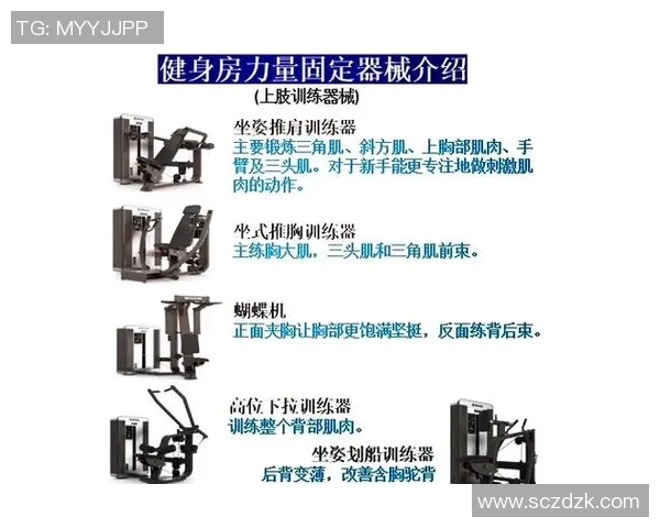哑铃器械的多功能训练指南助你塑造完美身材与增强肌肉力量
