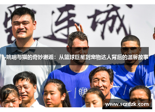 姚明与猫的奇妙邂逅：从篮球巨星到宠物达人背后的温馨故事