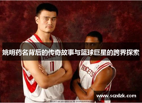 姚明药名背后的传奇故事与篮球巨星的跨界探索