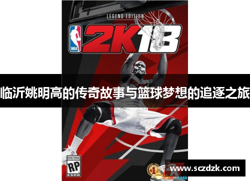 临沂姚明高的传奇故事与篮球梦想的追逐之旅
